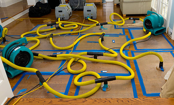Professional Sewage Cleanup technician working in Jenison, MI